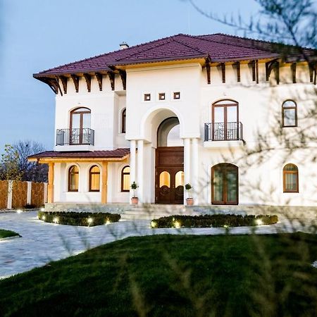 Conacul Olarilor Bed and Breakfast Baia de Fier Buitenkant foto