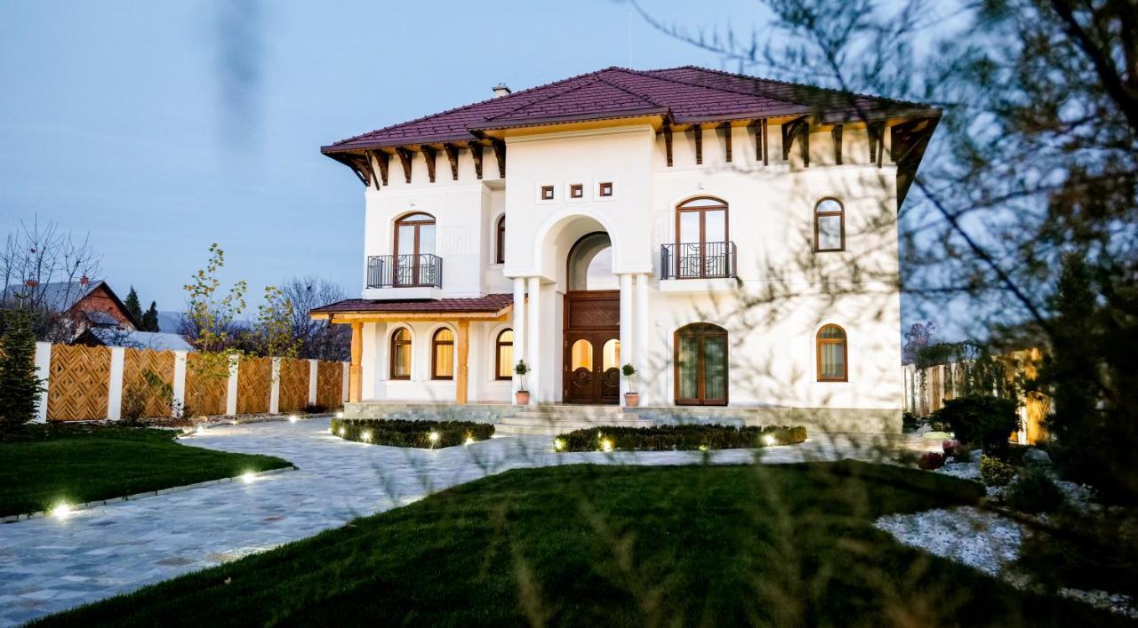 Conacul Olarilor Bed and Breakfast Baia de Fier Buitenkant foto