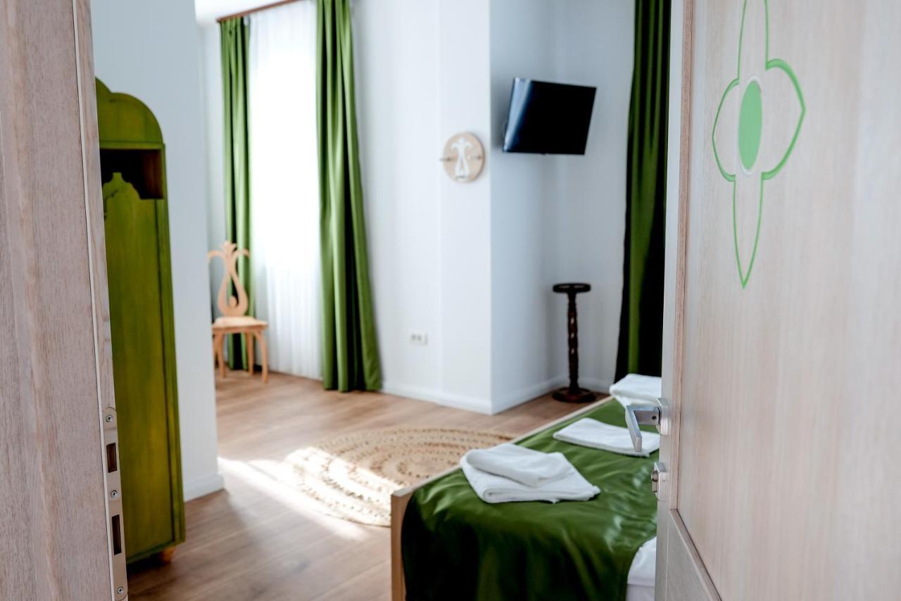 Conacul Olarilor Bed and Breakfast Baia de Fier Buitenkant foto