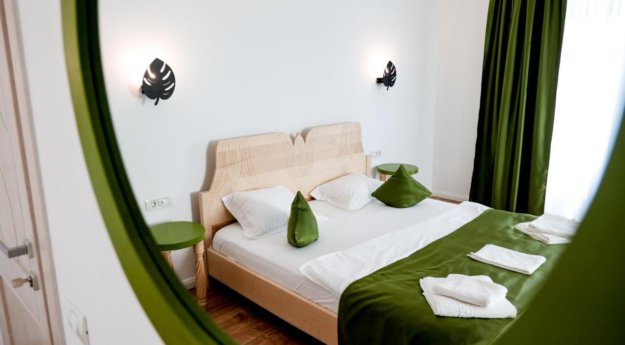 Conacul Olarilor Bed and Breakfast Baia de Fier Buitenkant foto